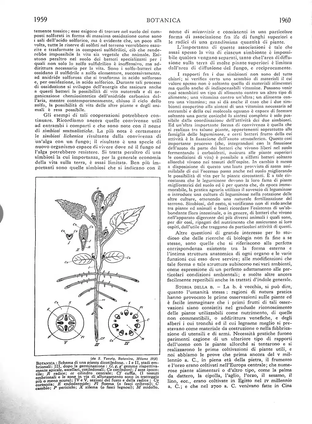 Pagina 1128
