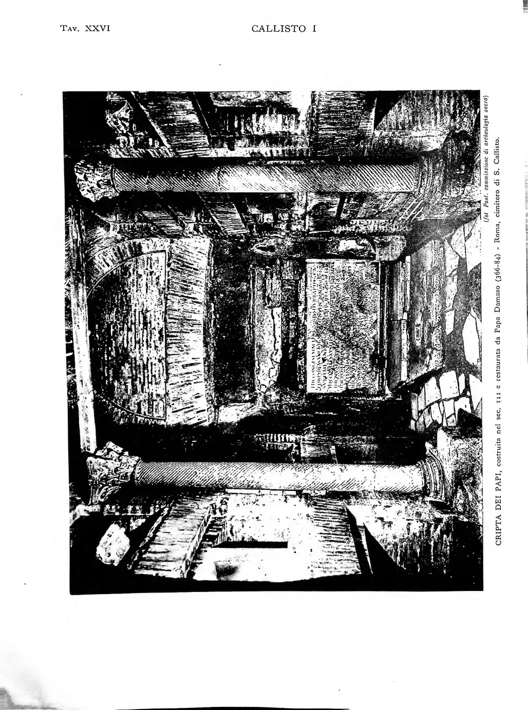 Page 244