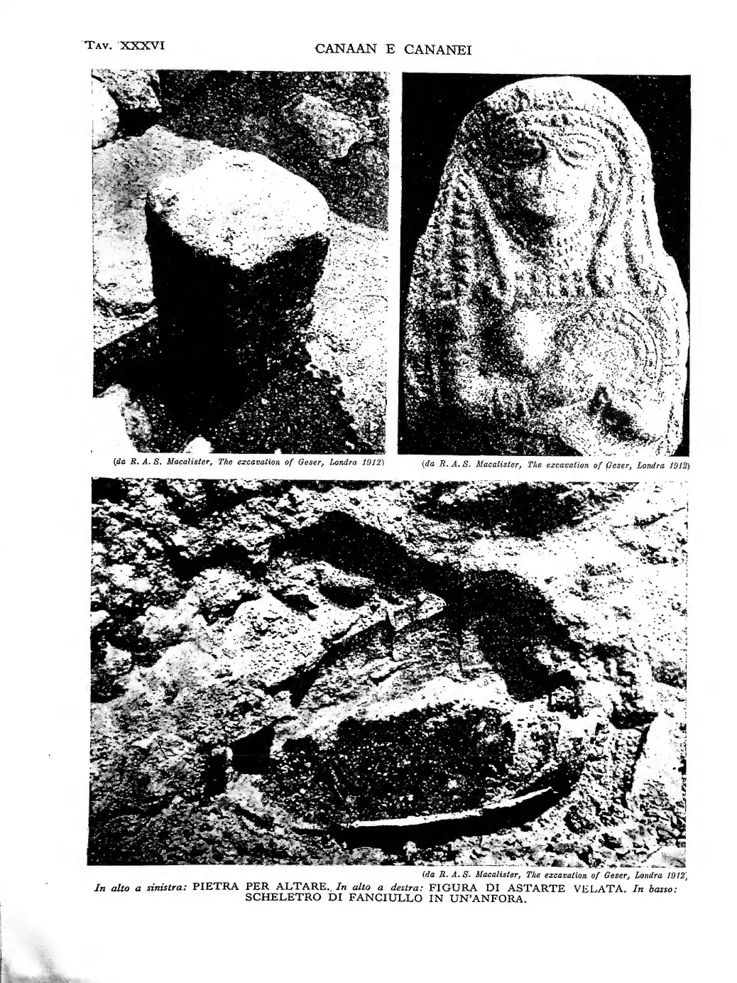 Page 294