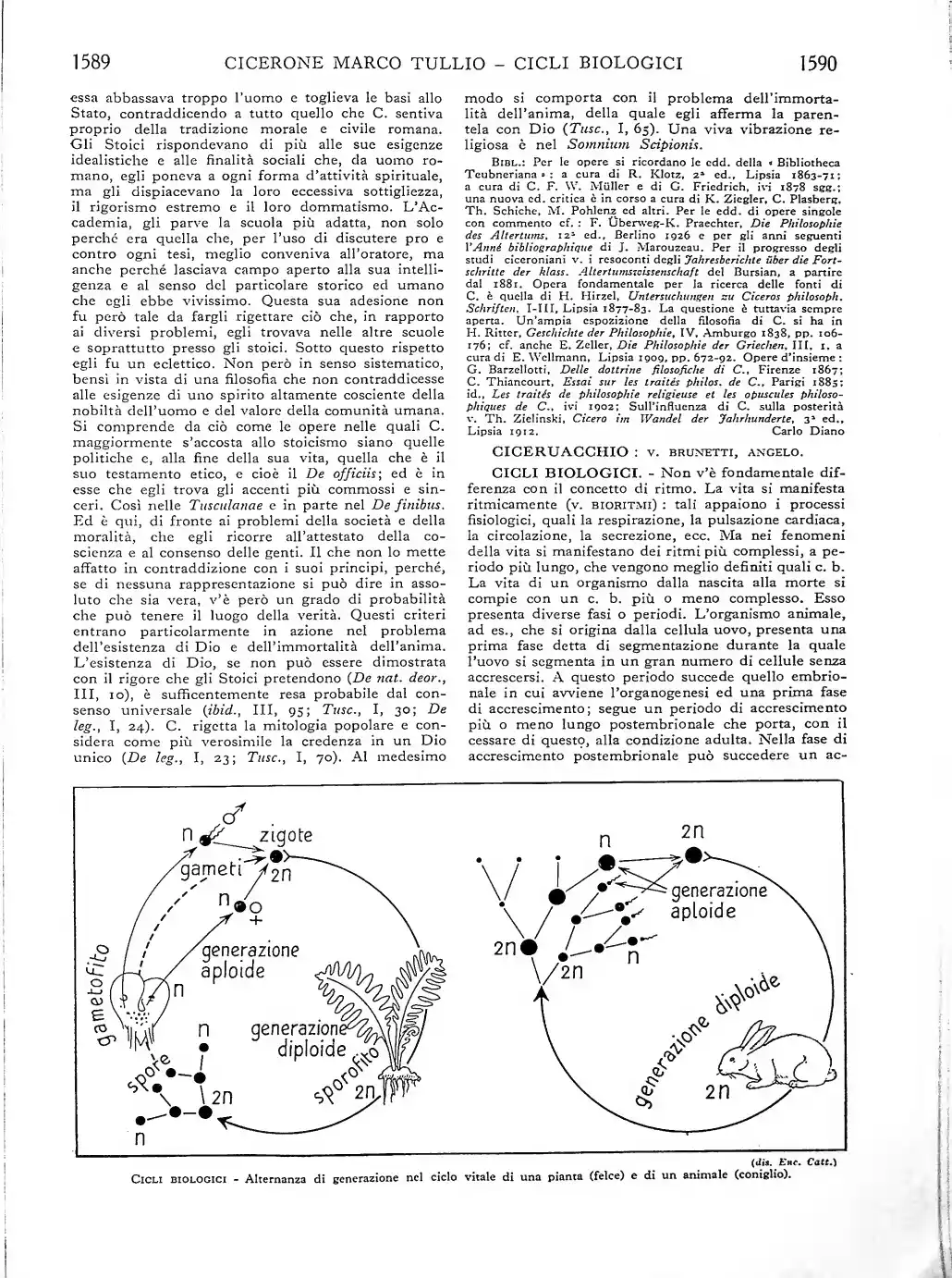 Pagina 923
