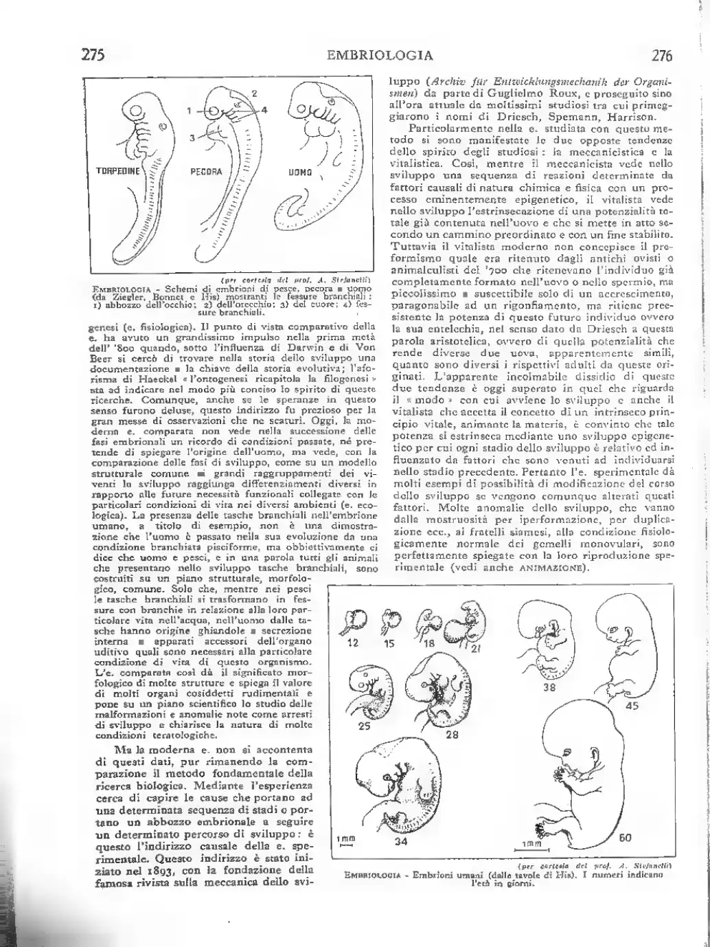 Pagina 192