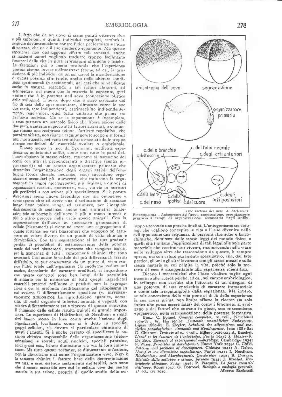 Pagina 193