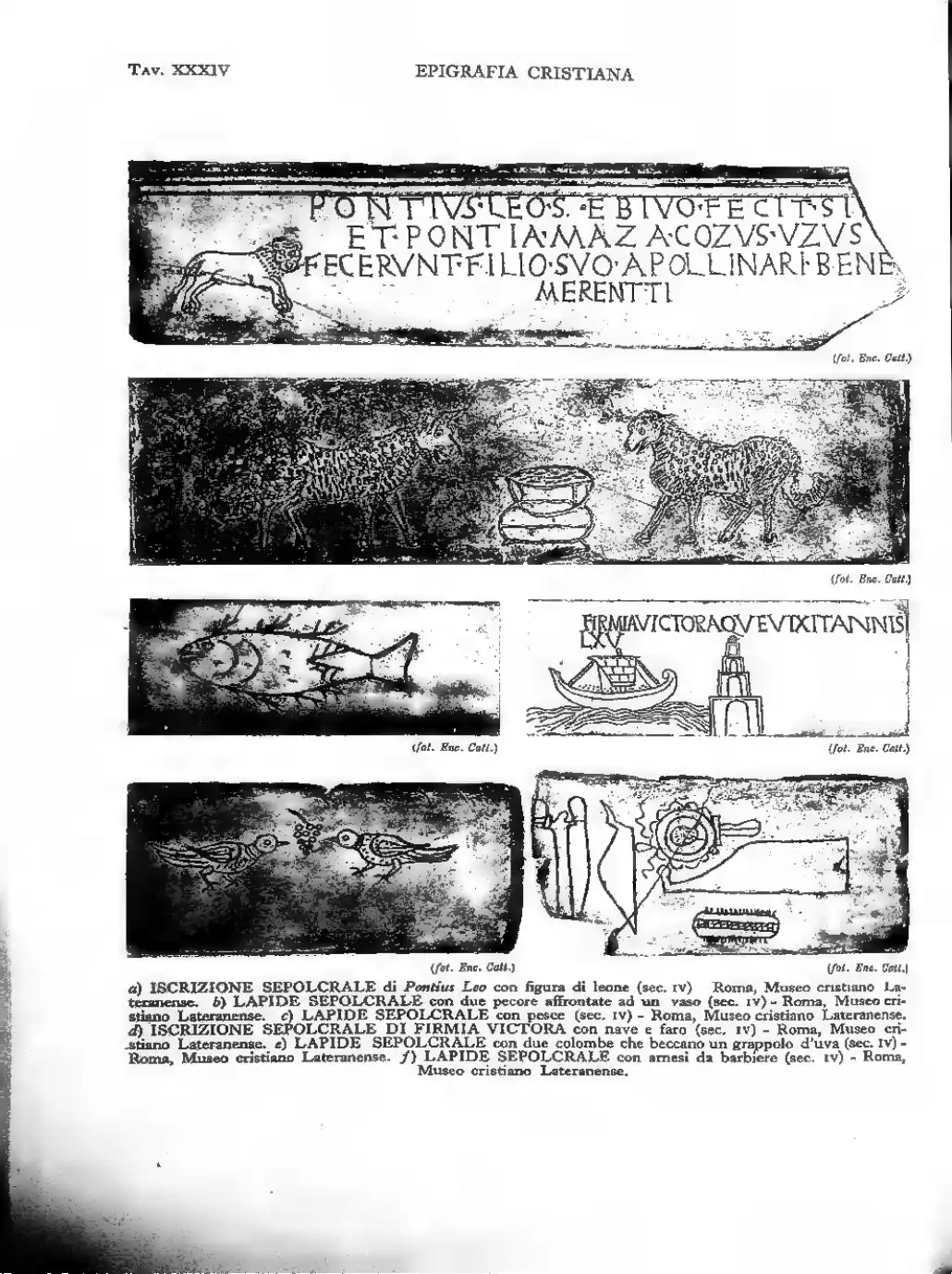 Page 282