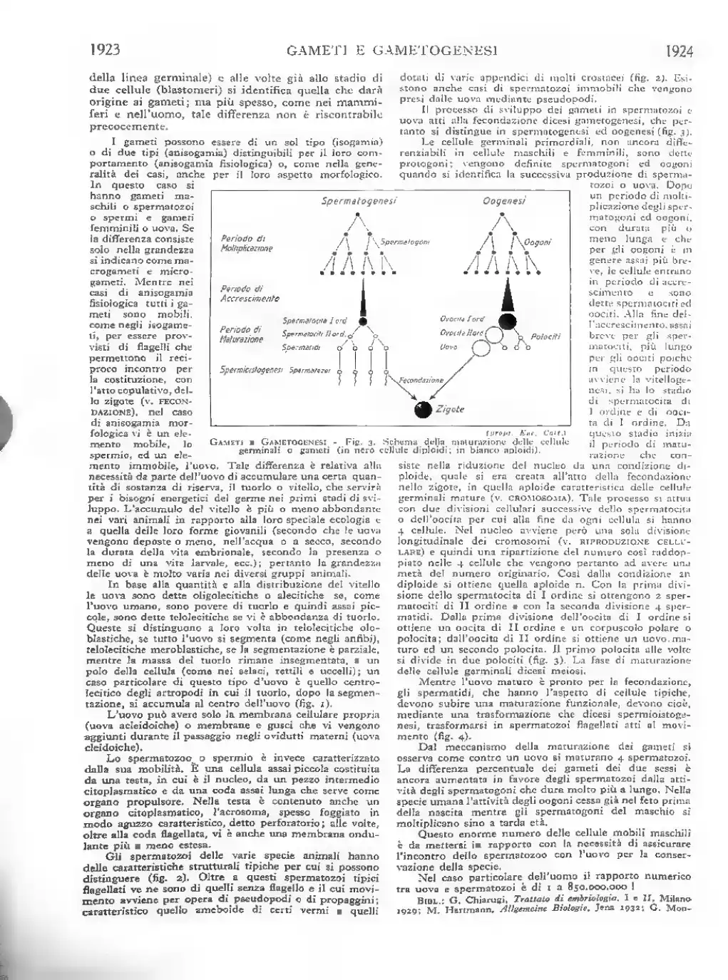 Pagina 1146
