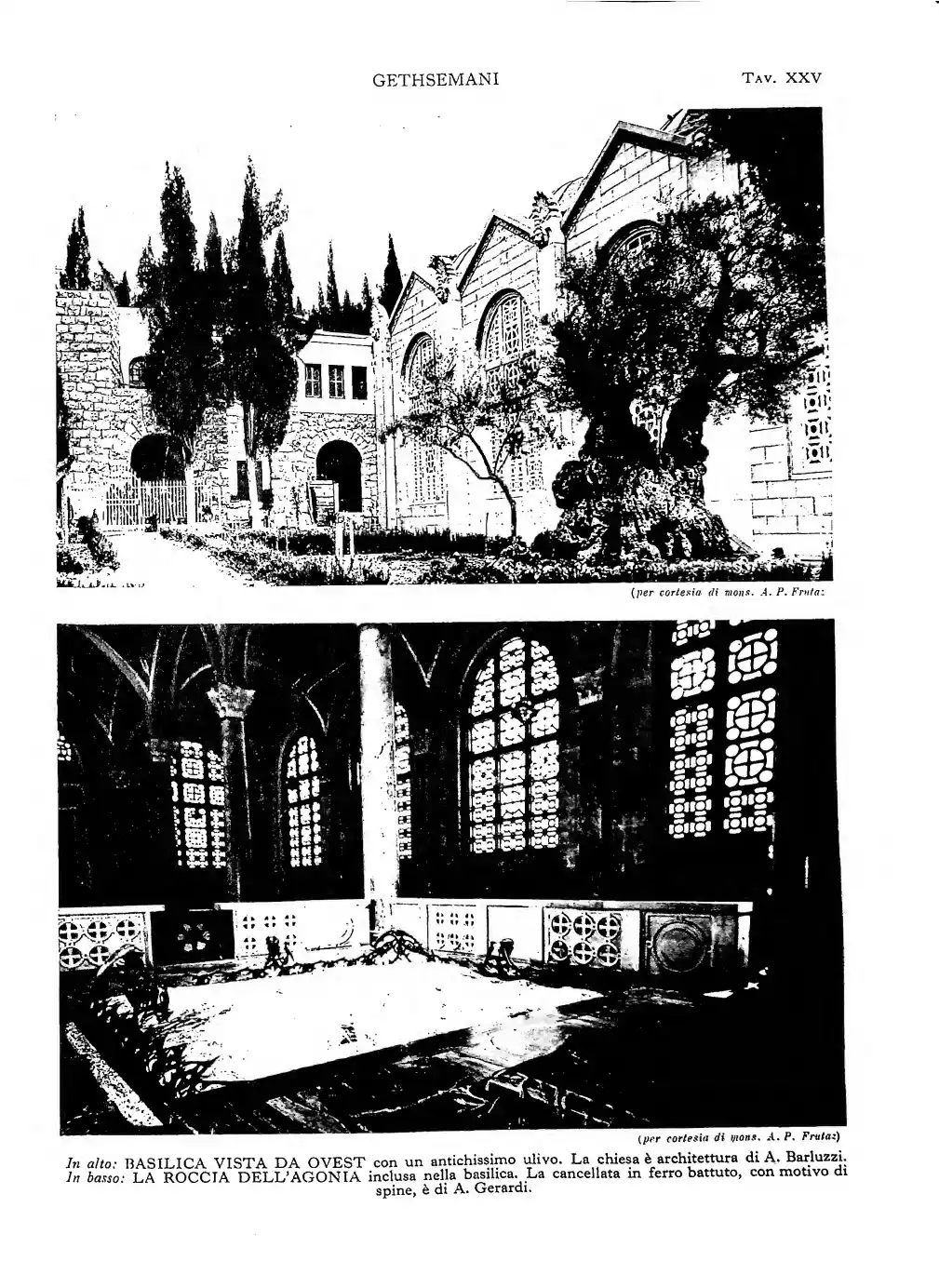 Pagina 197