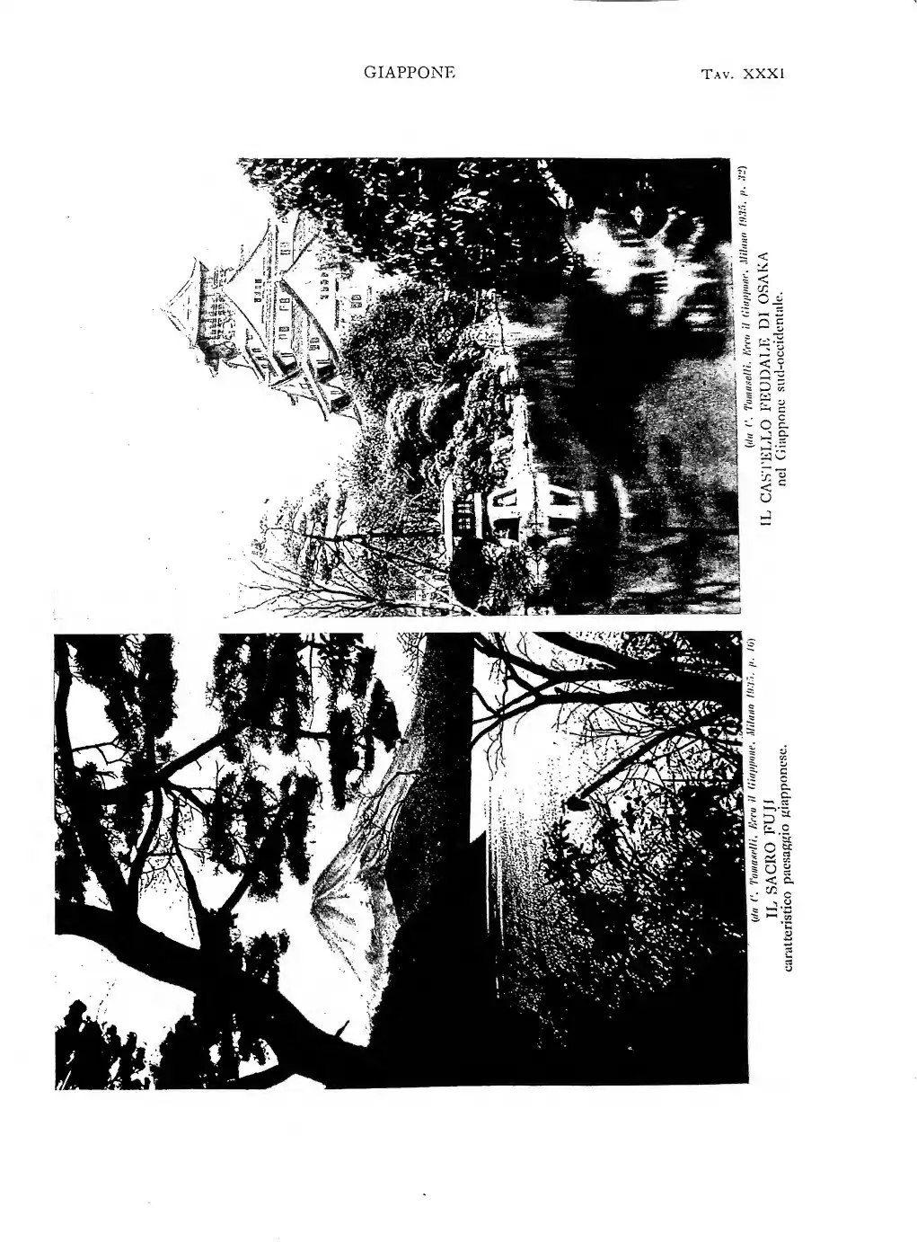 Page 235