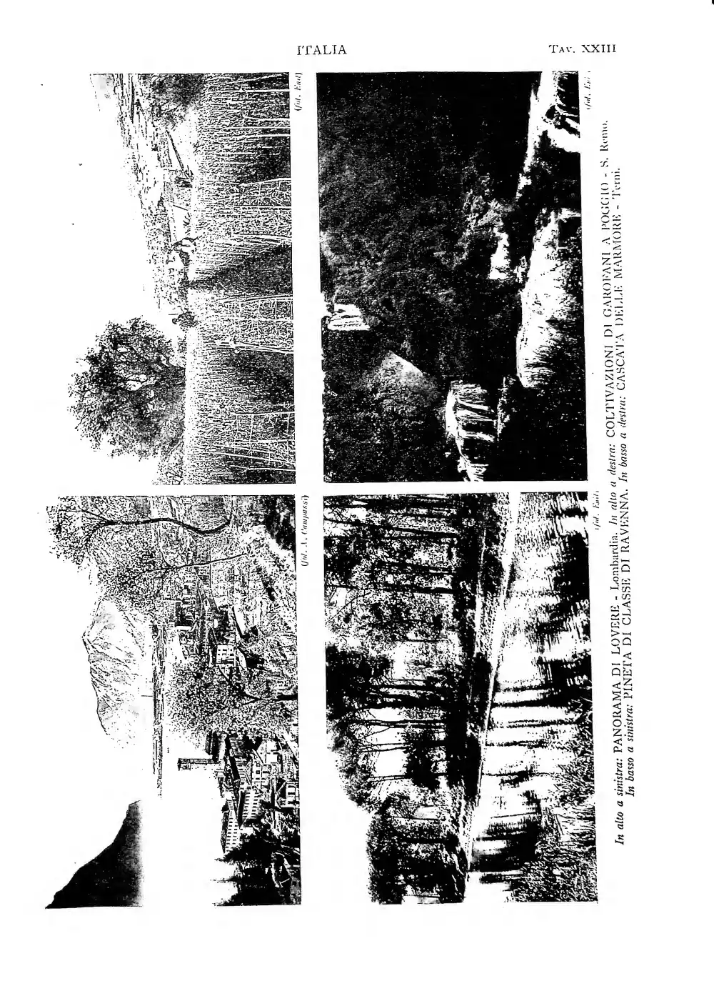 Page 233