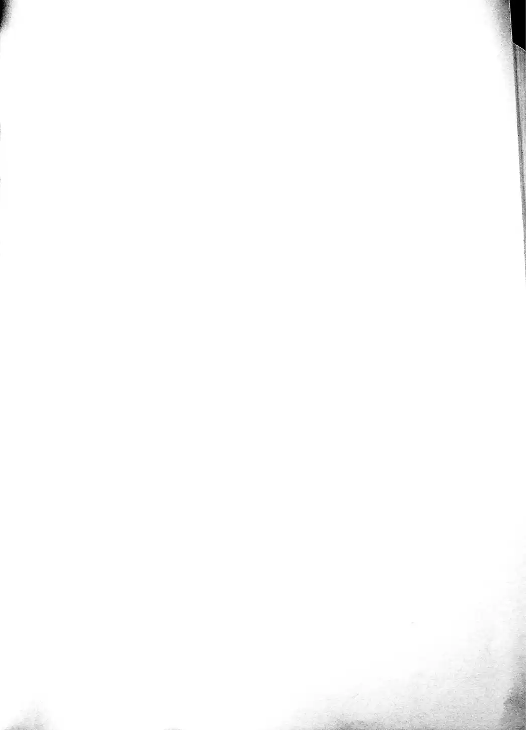 Page 243