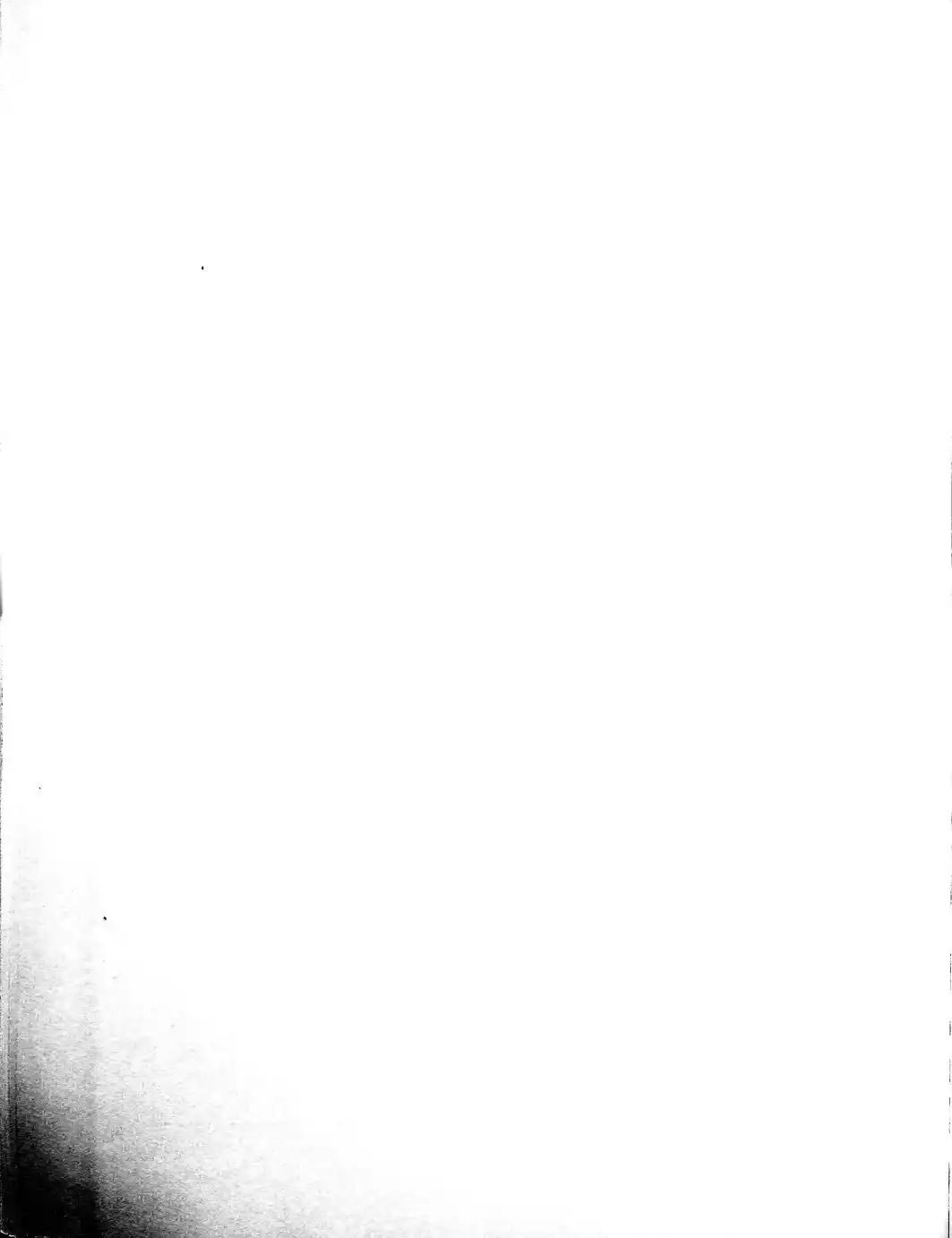 Page 262