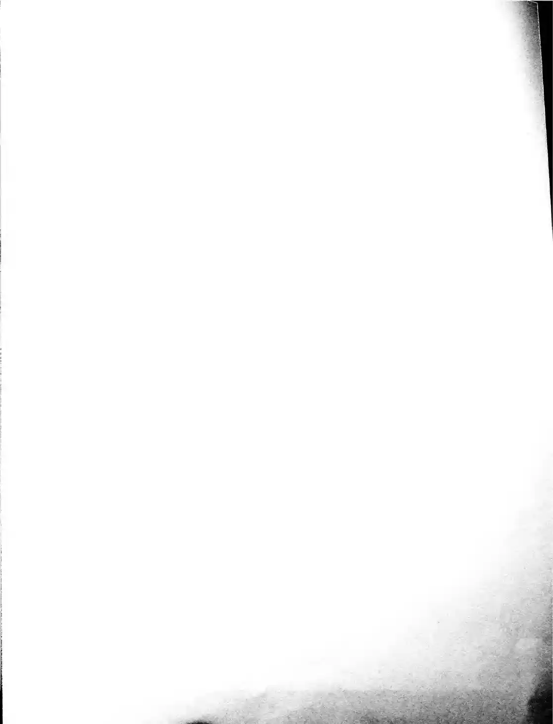 Page 271