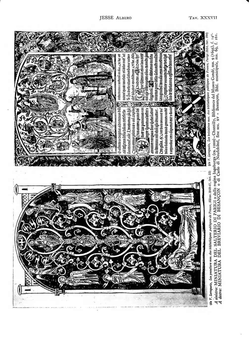Page 371