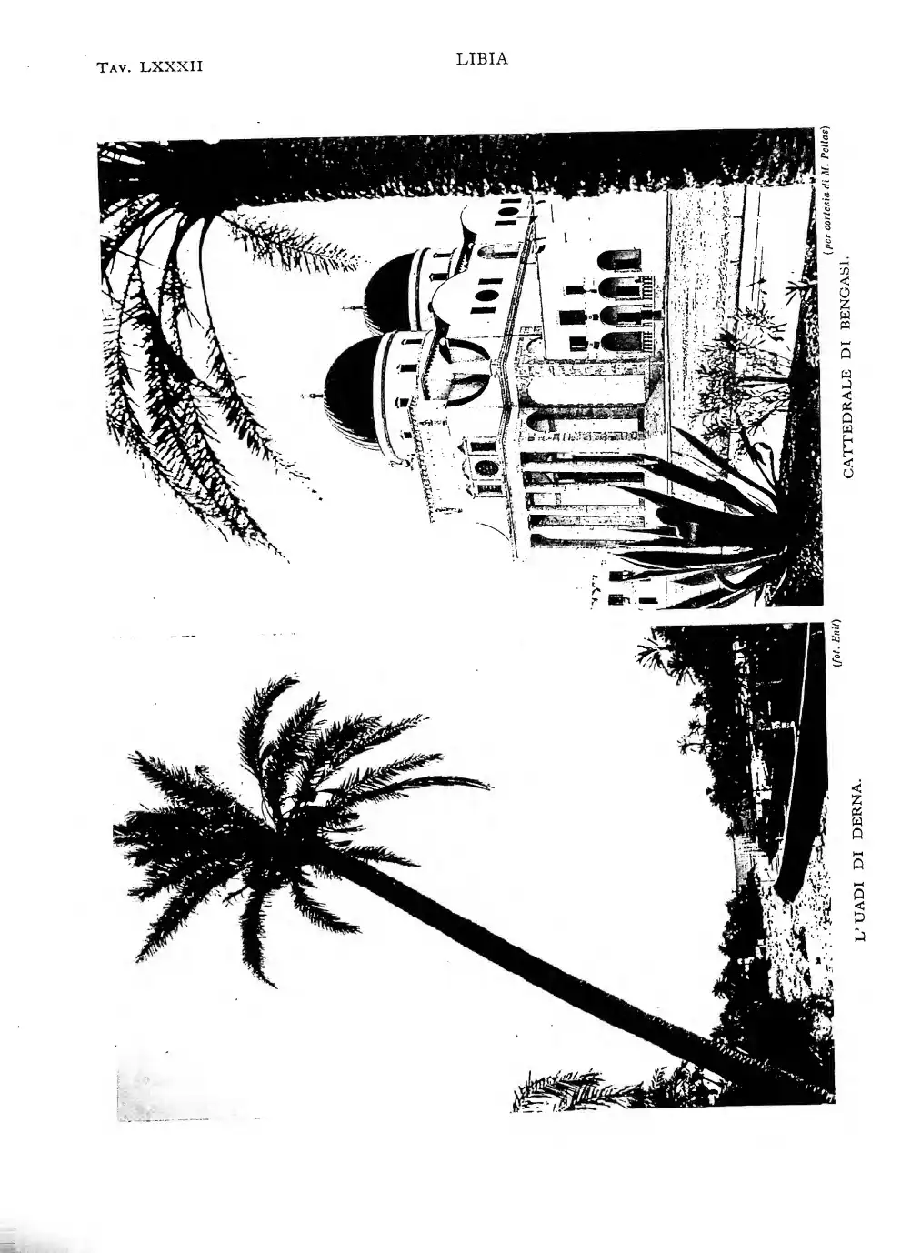 Page 778
