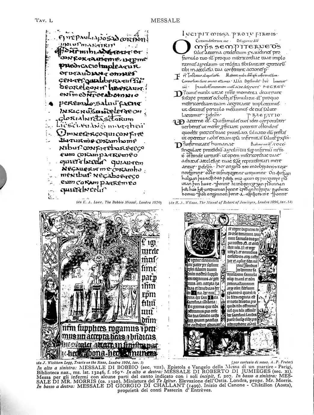 Page 482