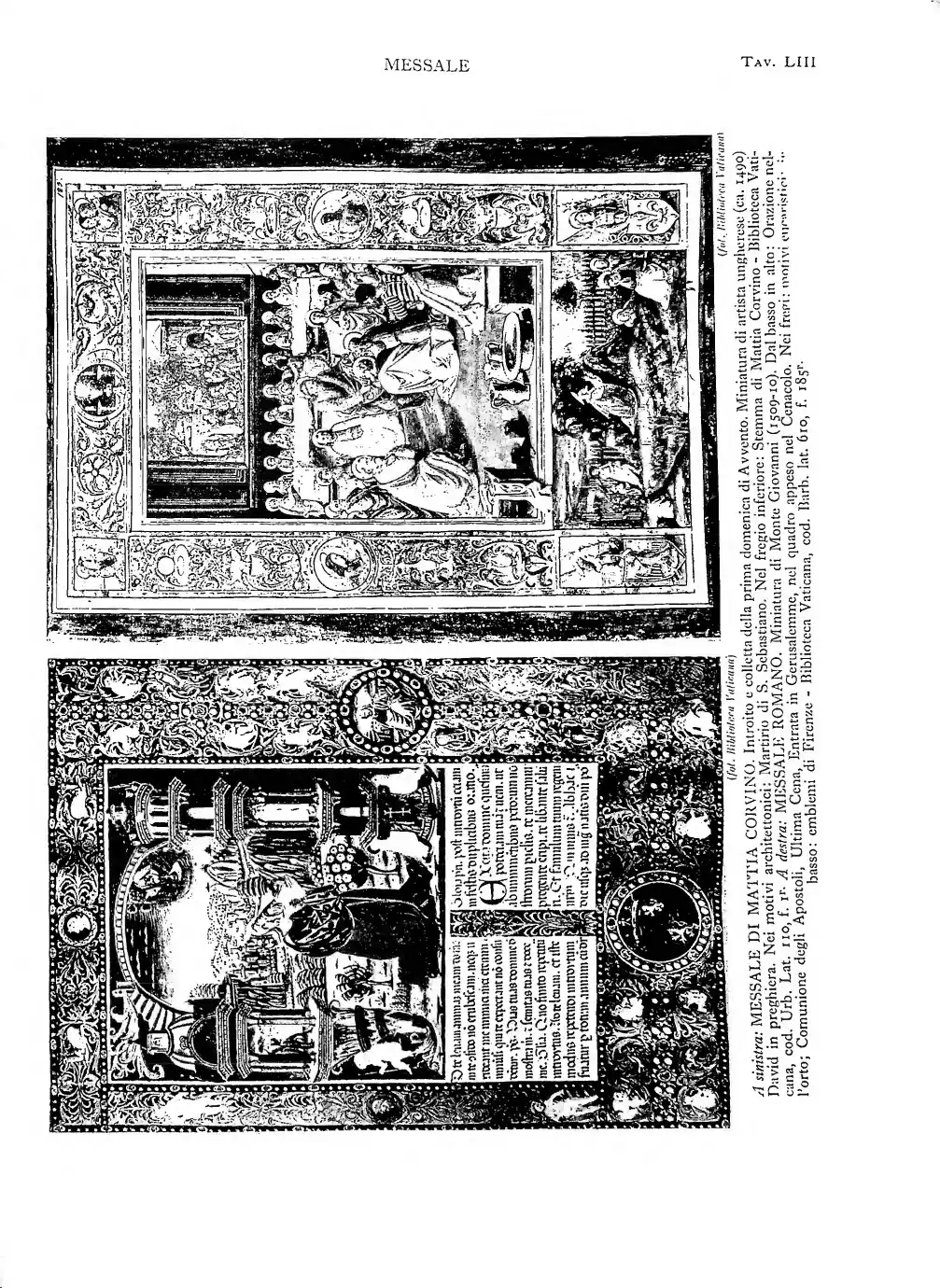Page 501
