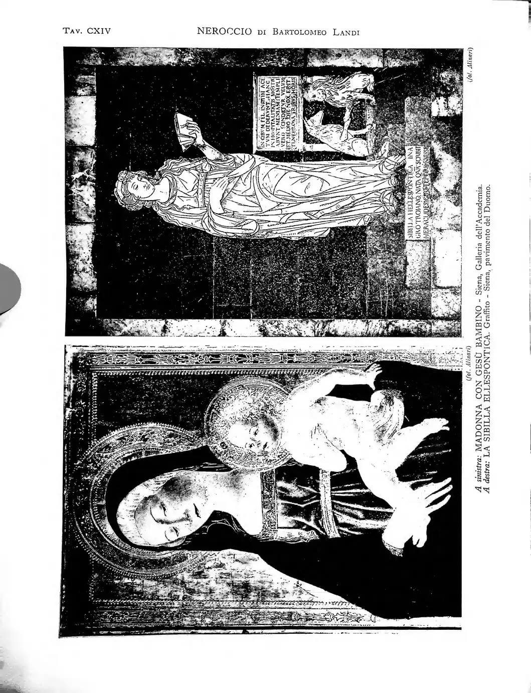 Page 1052