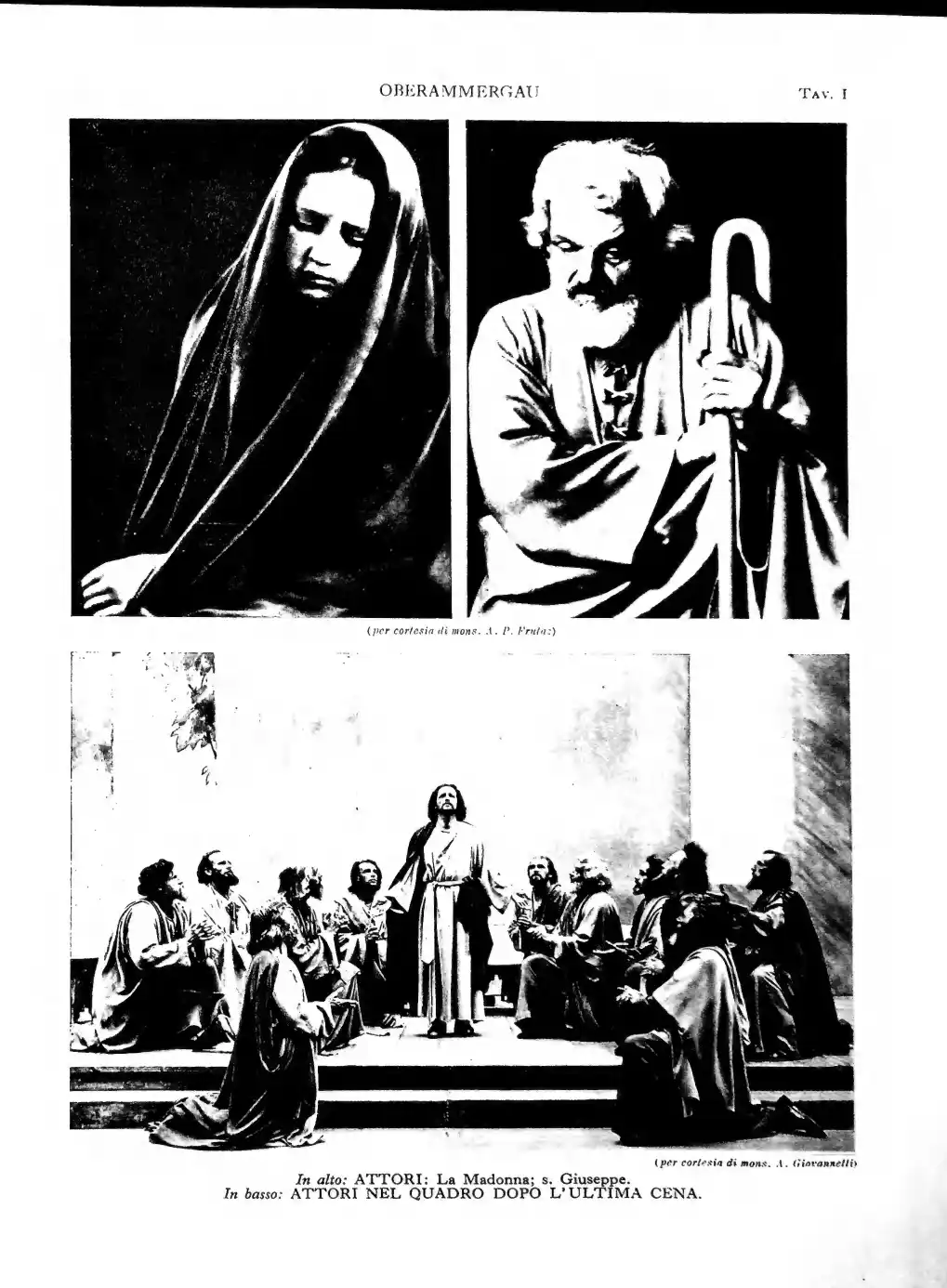 Pagina 43