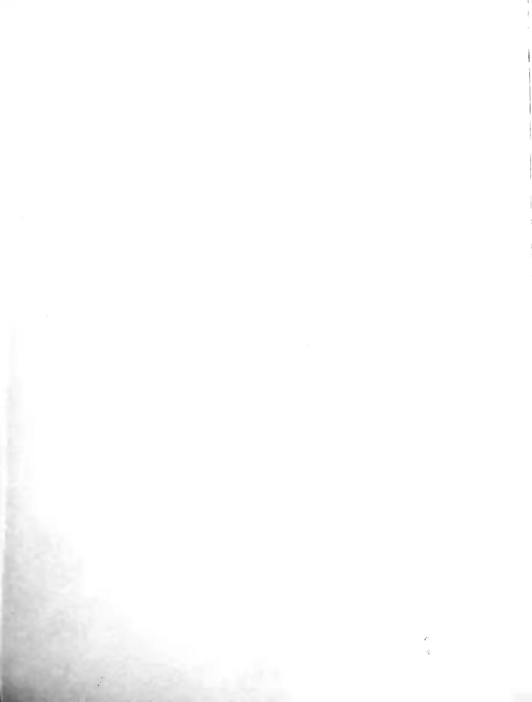 Page 386