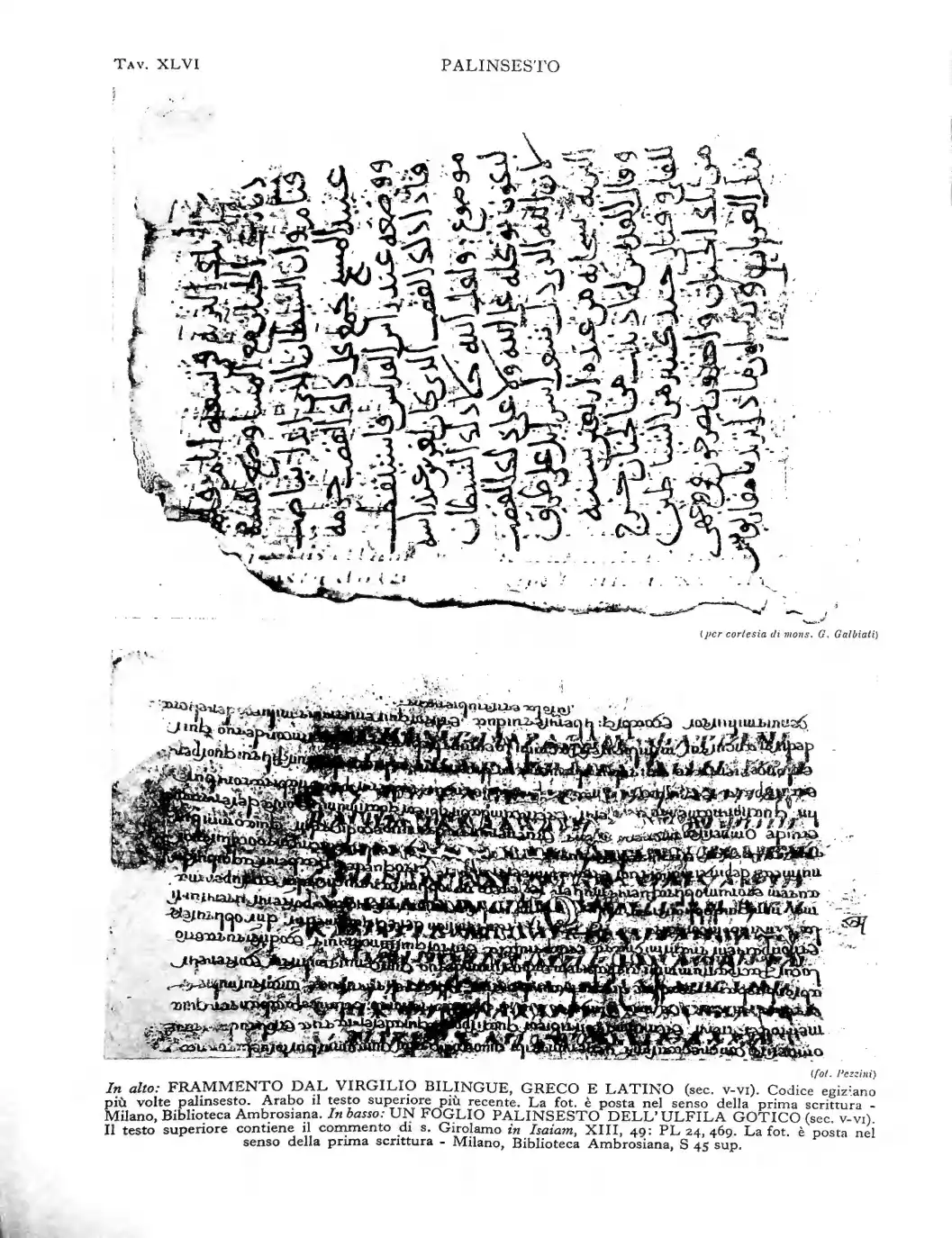 Page 404