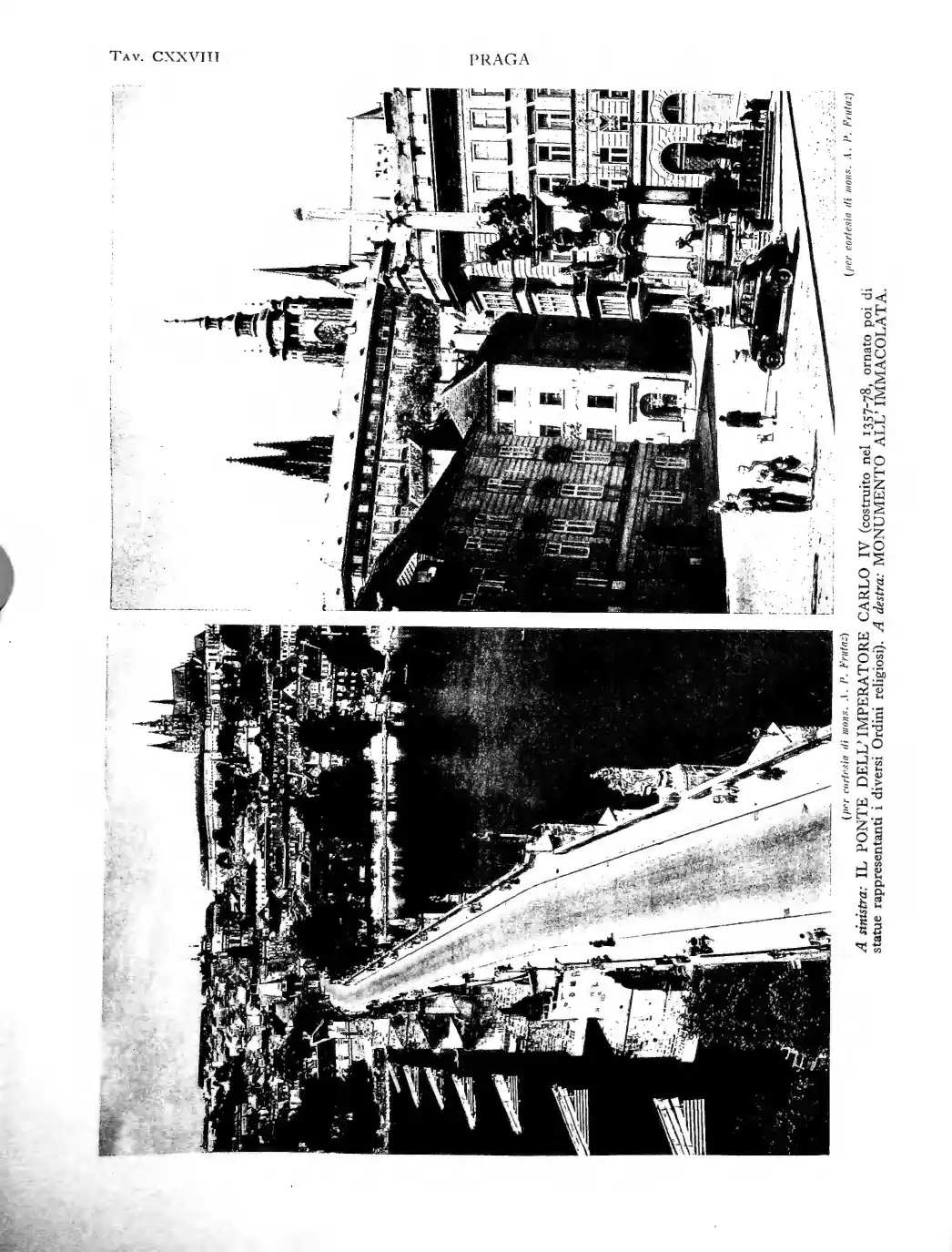 Pagina 1126