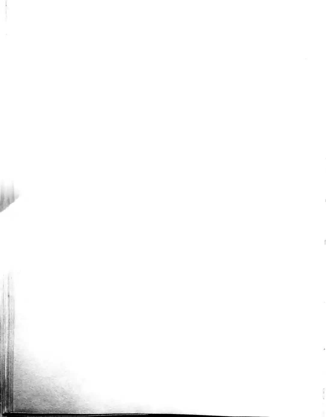 Pagina 46