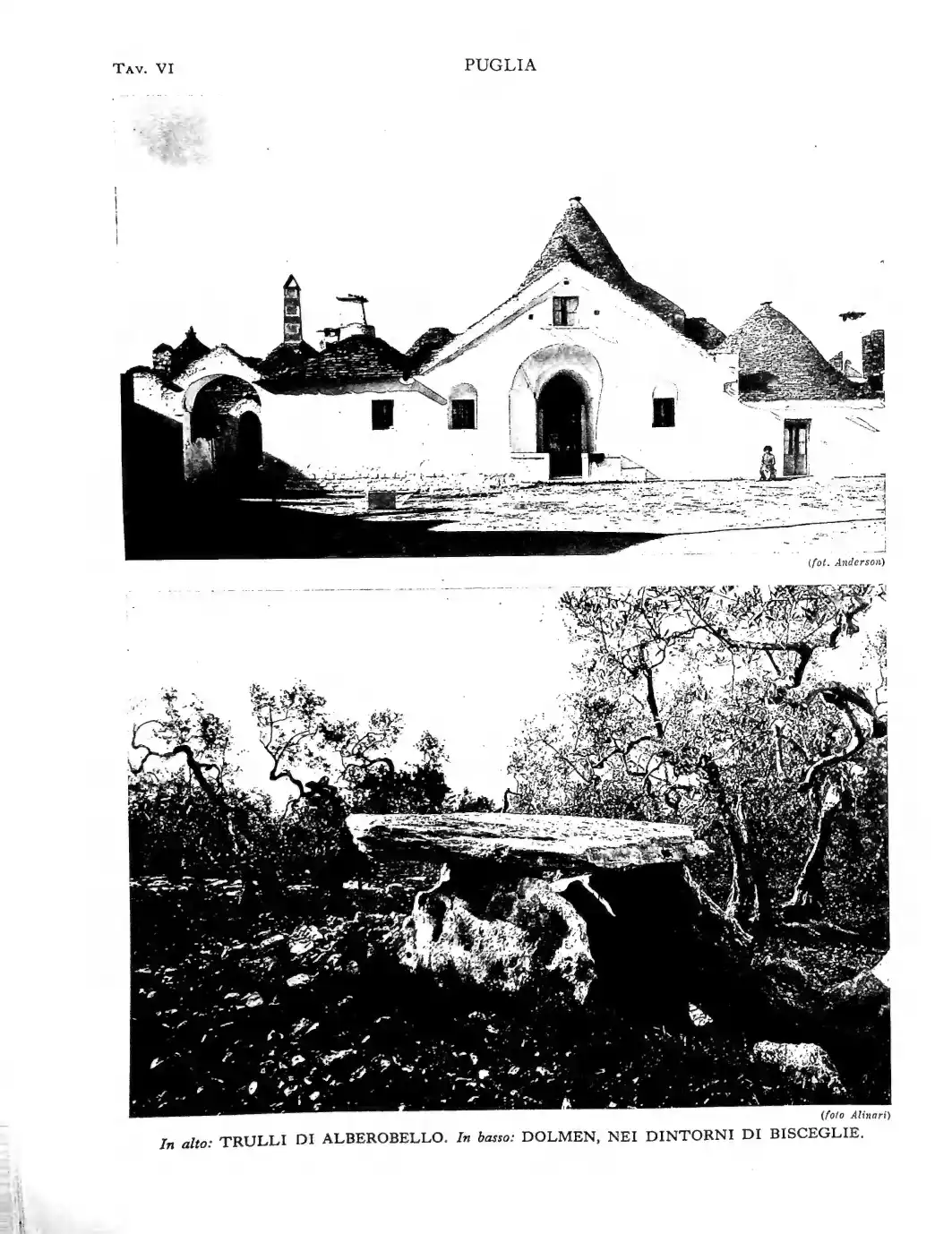 Pagina 186