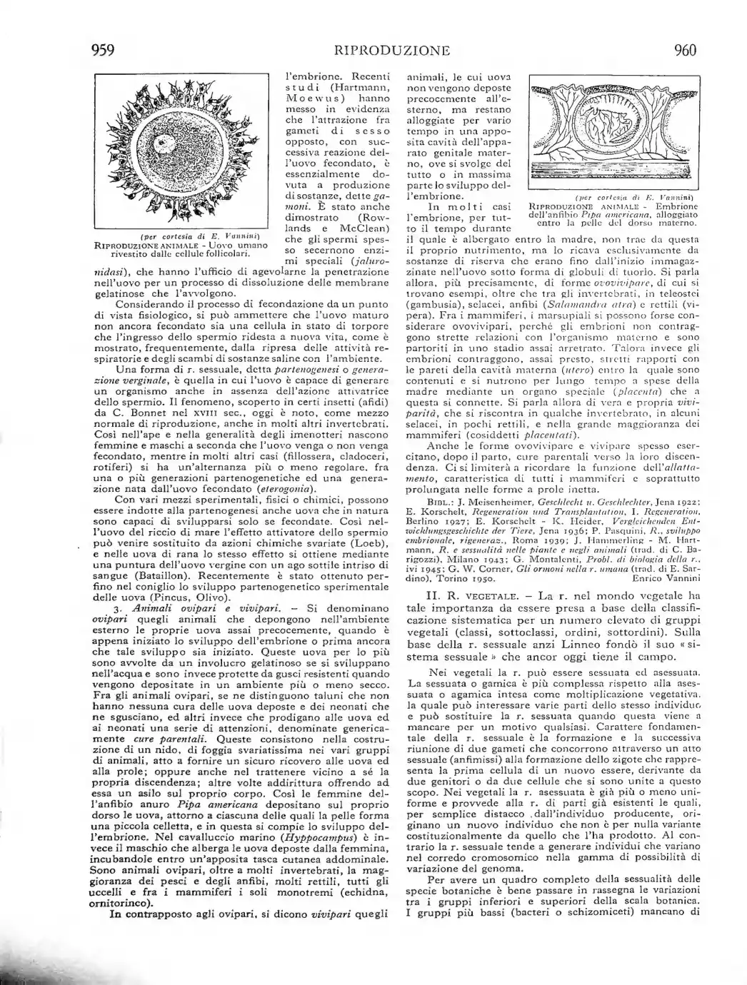 Pagina 564