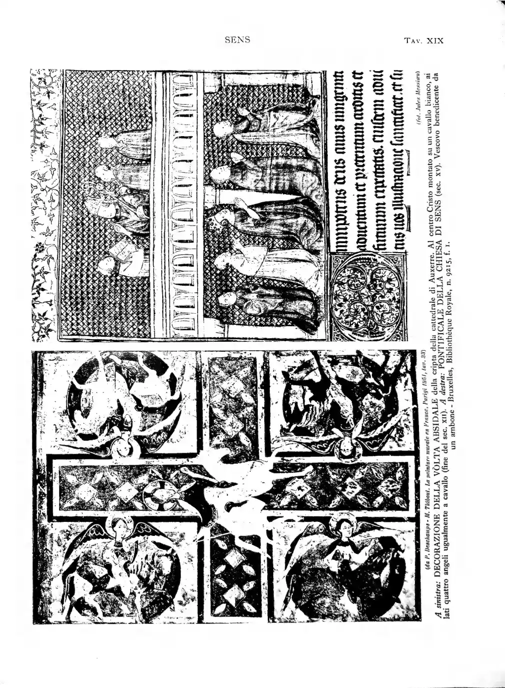 Page 225