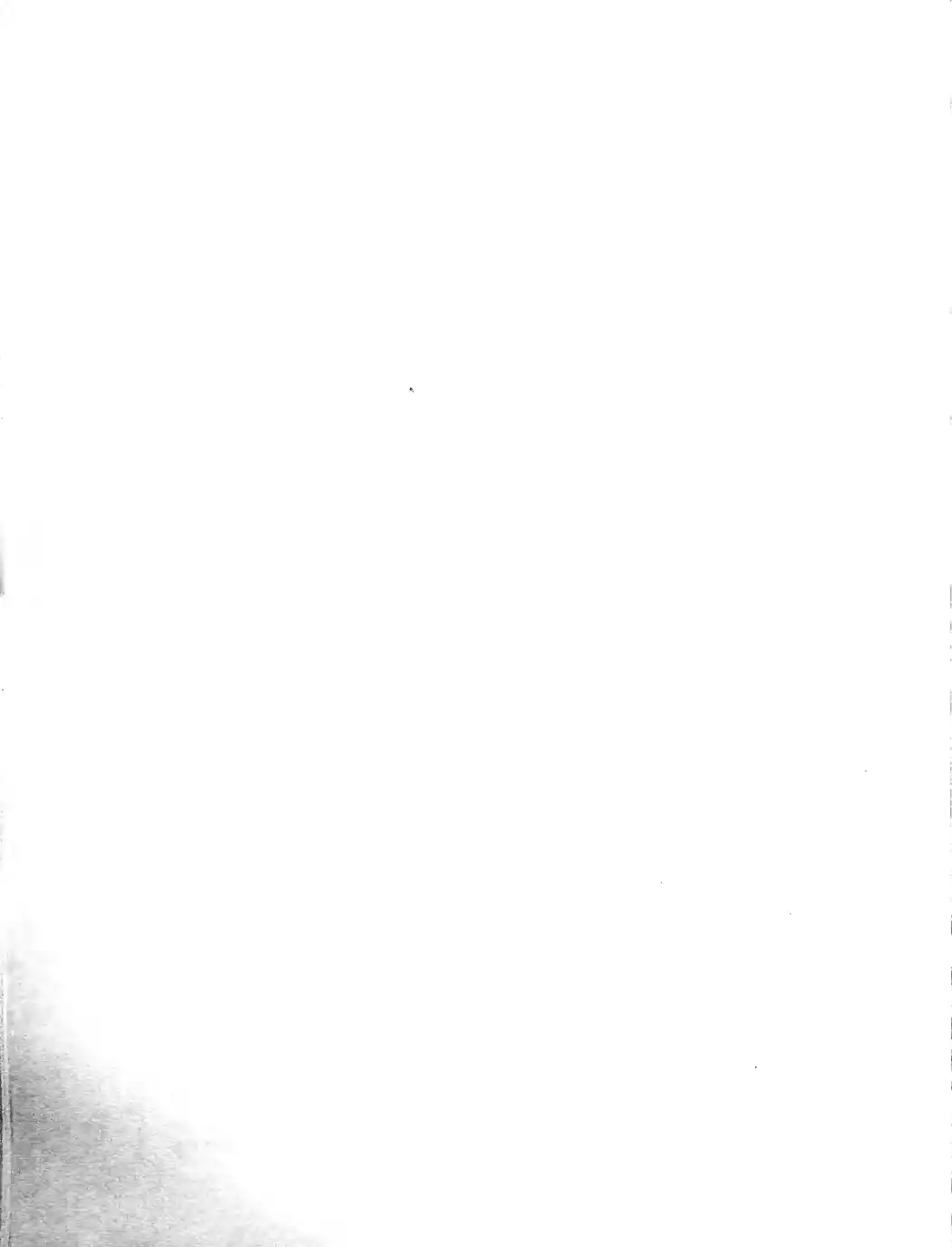 Page 232
