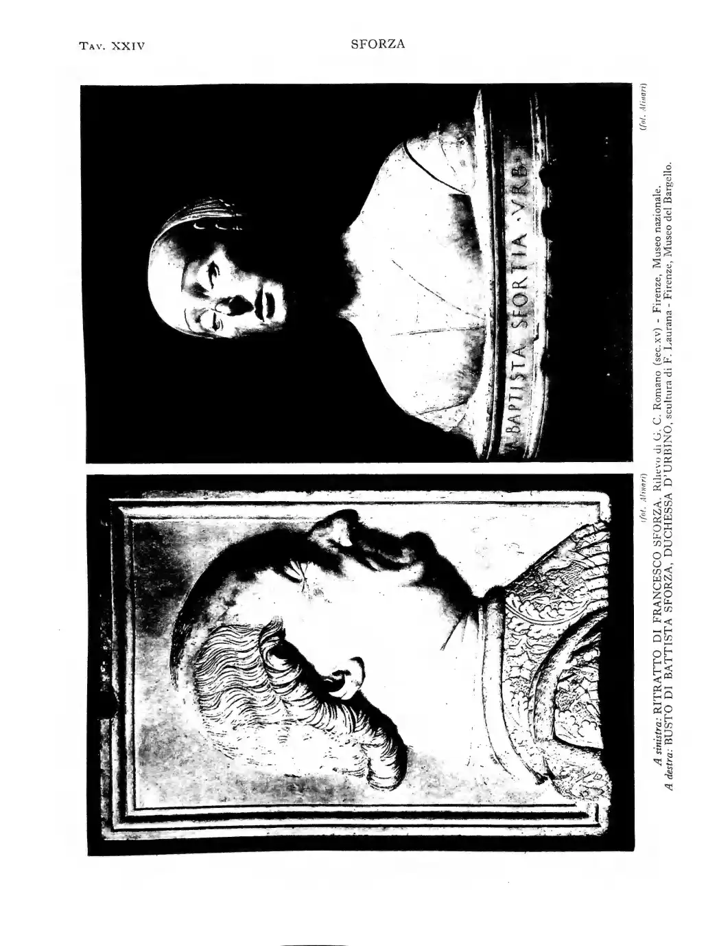 Page 264