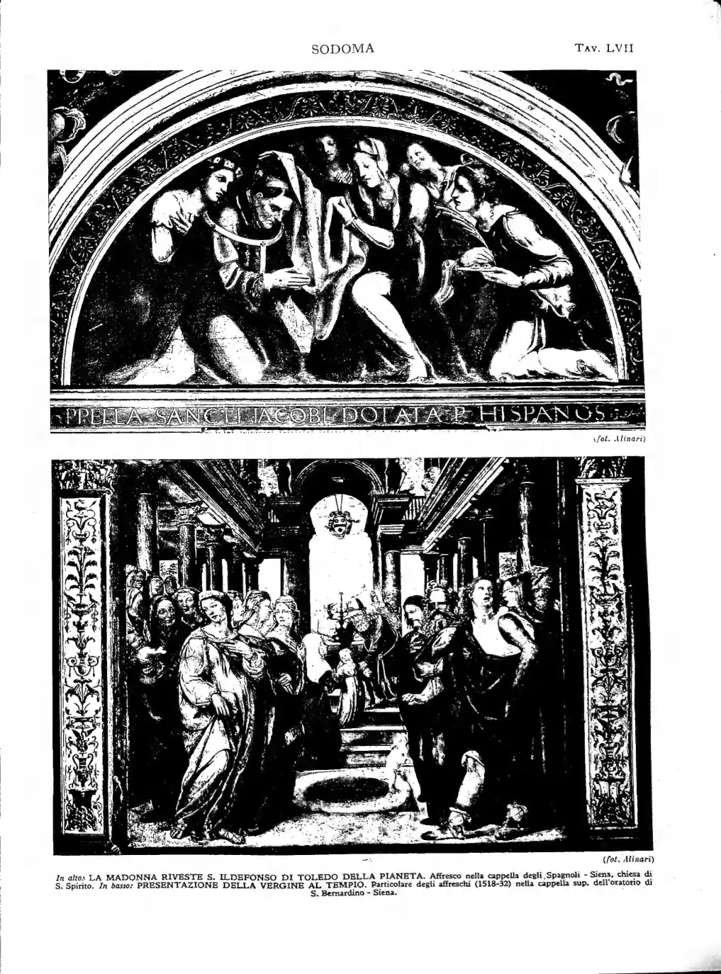 Page 539