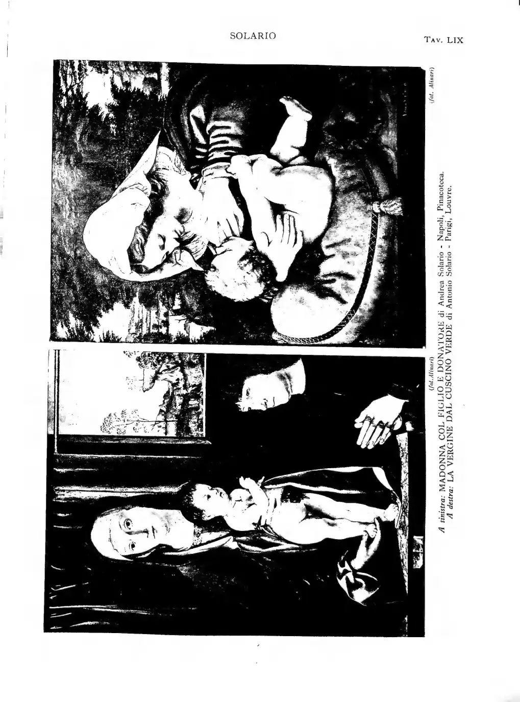 Pagina 557