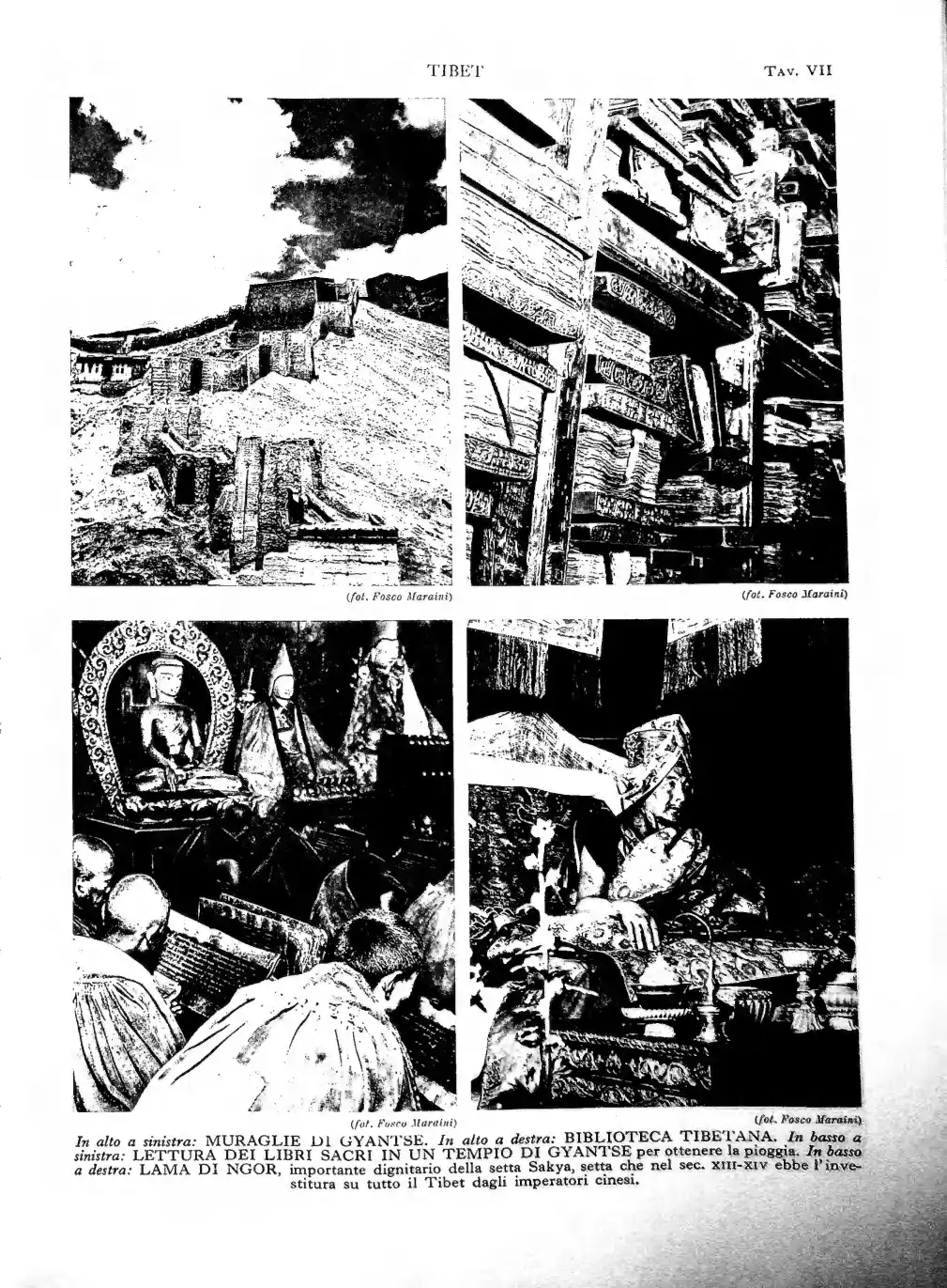 Pagina 71