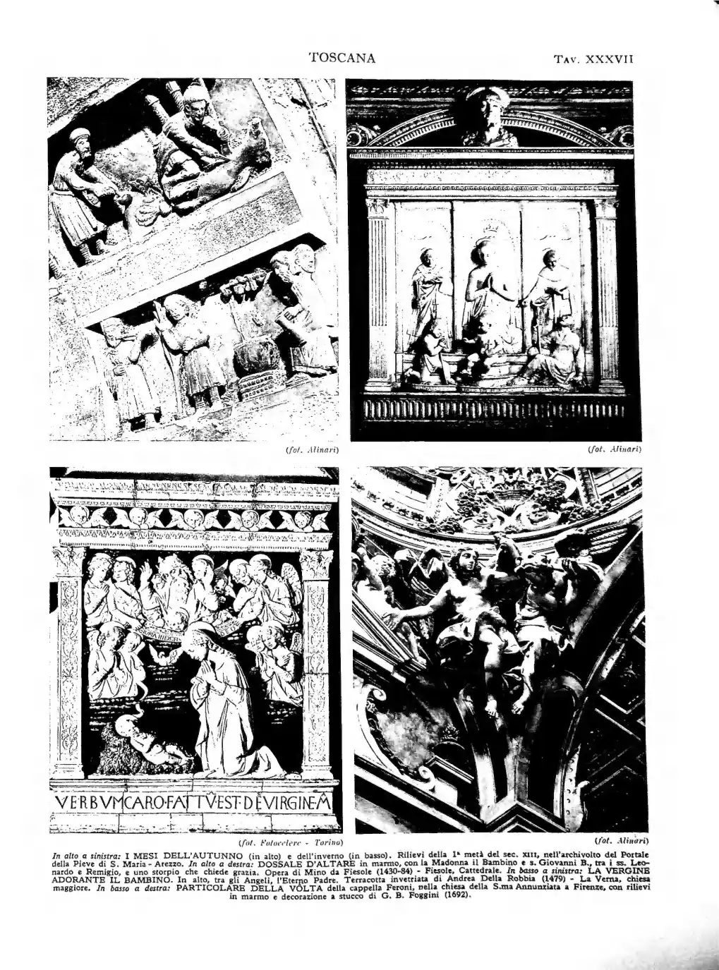 Page 241