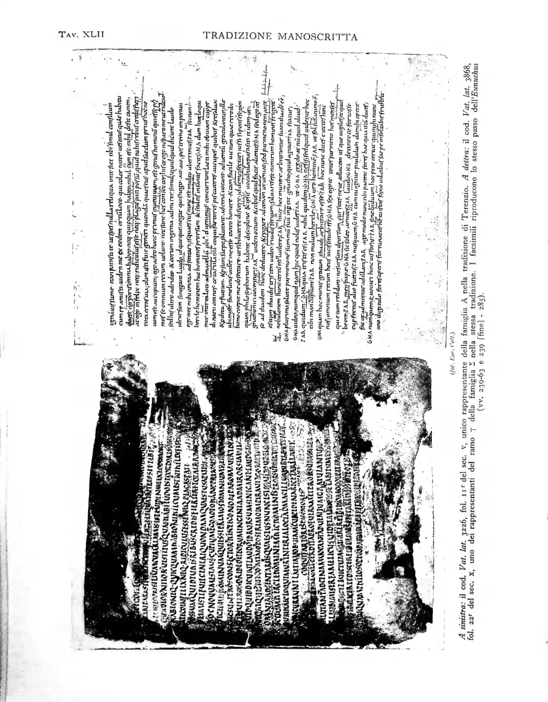 Pagina 270